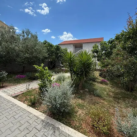 Apartment Luxury B